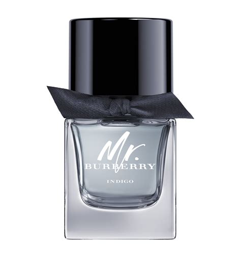 mr. burberry eau de toilette|mr Burberry indigo 50ml.